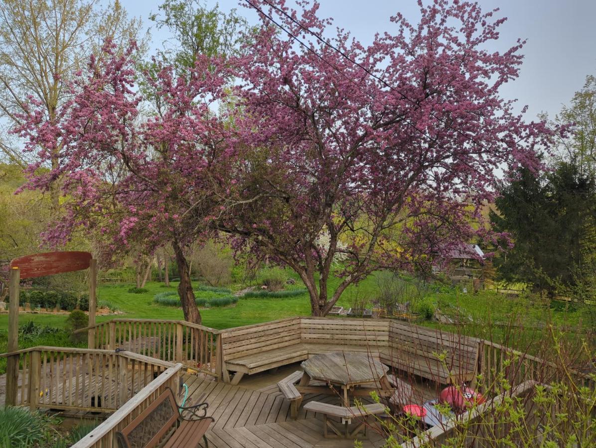 Wildflower Cottage Oxford Buitenkant foto